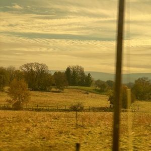 Meet your Posher, Bo